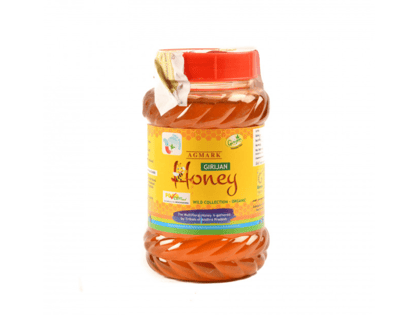 GCC Girijan Honey - Wild Collection Organic Honey from Andhra Pradesh
